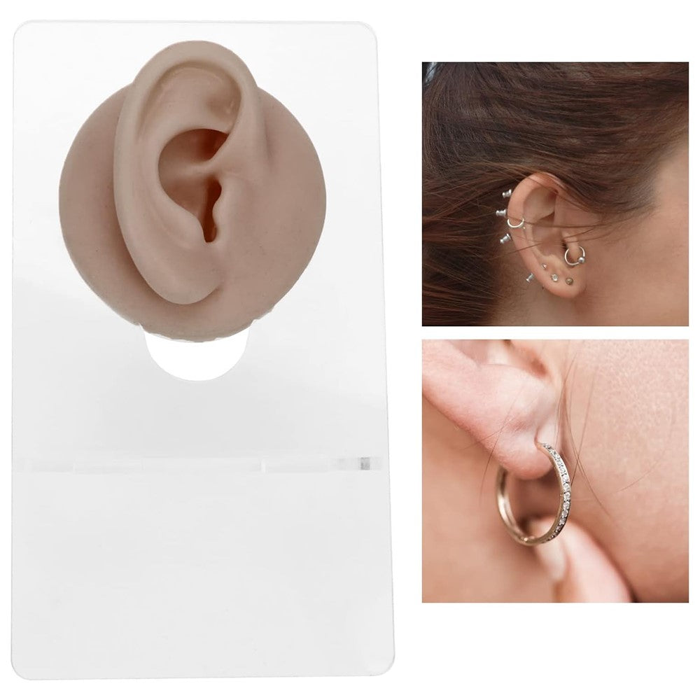 Silikonmodell för piercingträning – med stativ