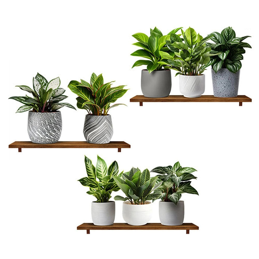 Väggdekor – 3-pack gröna växter i 3D, självhäftande