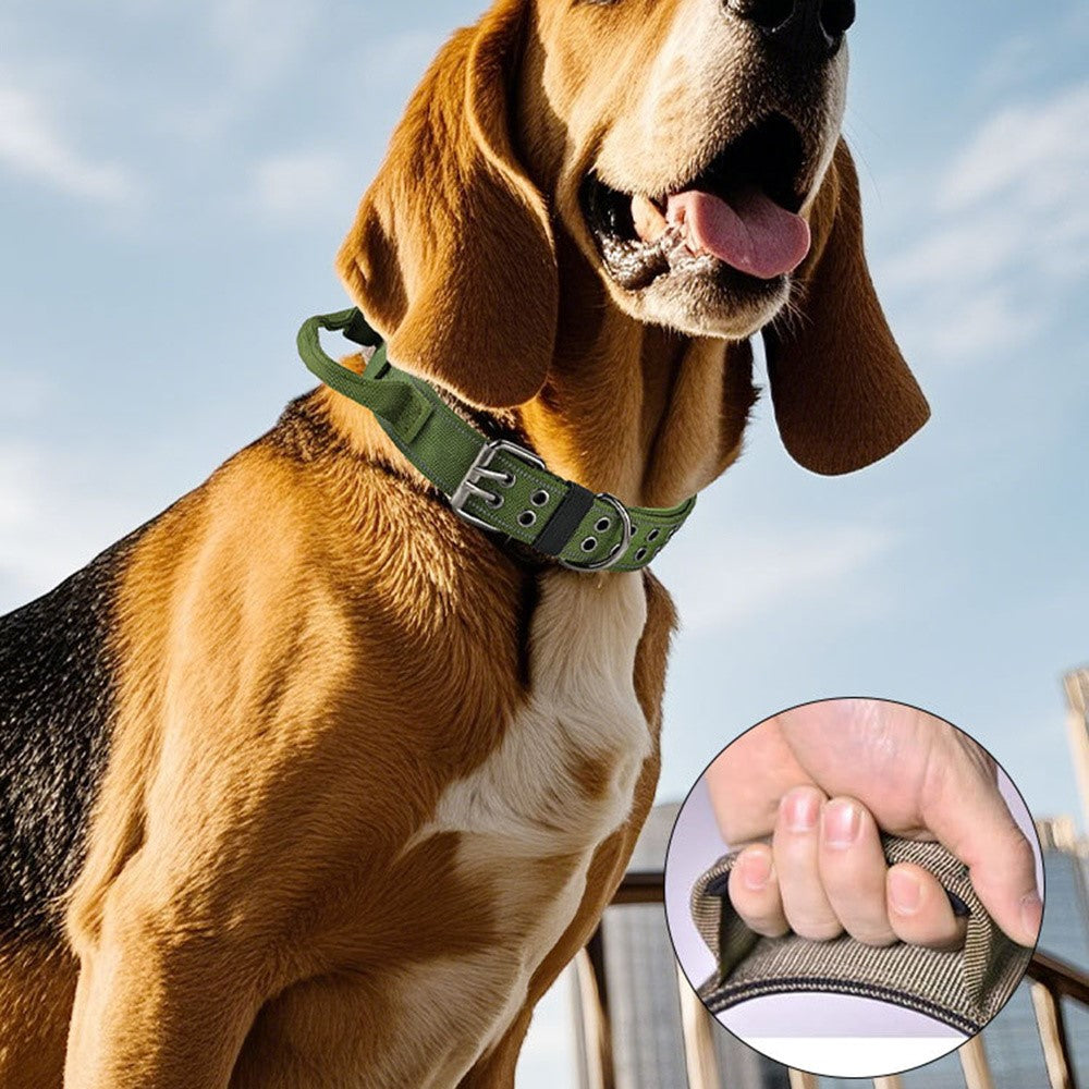 Taktiskt hundhalsband med reflex & handtag (L)