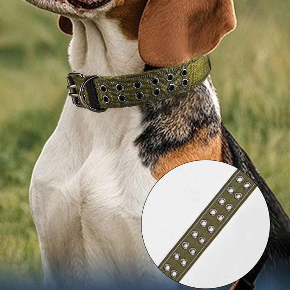 Taktiskt hundhalsband med reflex & handtag (L)