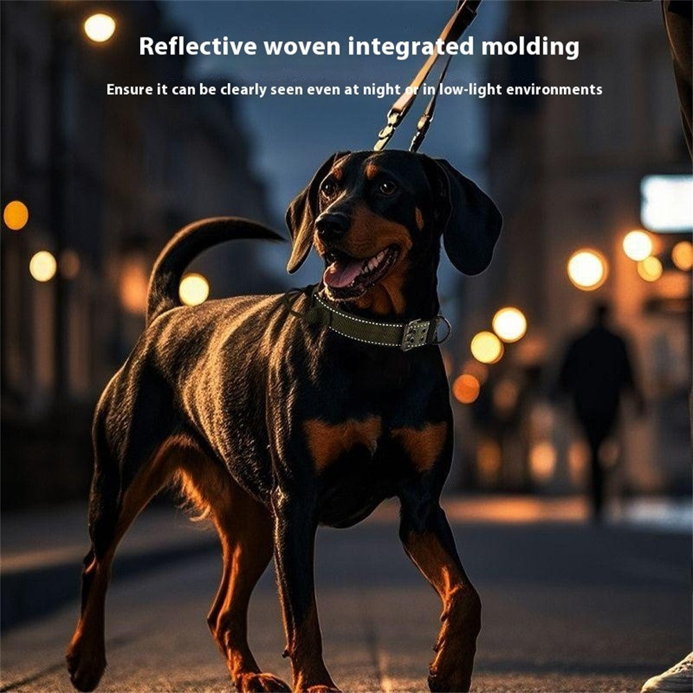 Taktiskt hundhalsband med reflex