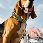 Taktiskt hundhalsband med reflex