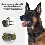 Taktiskt hundhalsband med reflex