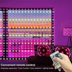 Gardinljus 3x3 m – 450 LED RGB med fjärrkontroll