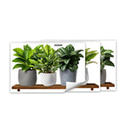 Väggdekor – 3-pack gröna växter i 3D, självhäftande