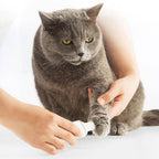 Elektrisk kloslip för hund och katt – smärtfri och tystgående